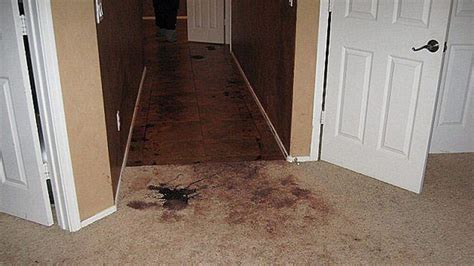 jodi arias crime scene photos|Jodi Arias: Part 1 